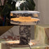 Viresta Table Lamp