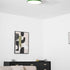 Zayn Ceiling Lamp