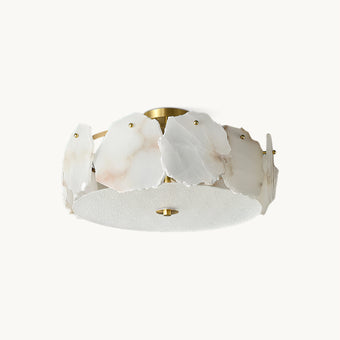 Nasile Ceiling Light