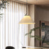 Nobu Pleated Pendant Light