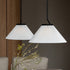 Nobu Pleated Pendant Light