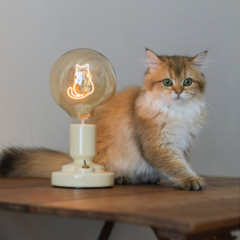 مصباح طاولة سيراميك بتصميم قطة على الطراز الشمالي مزود ببطارية مدمجة