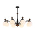 Novaro Chandelier