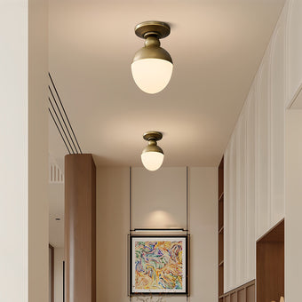 Olindo Ceiling Light