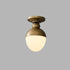 Olindo Ceiling Light