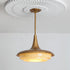 Oluce Pendant Lamp