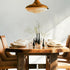 Oluce Pendant Lamp