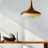 Oluce Pendant Lamp