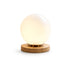 Orbina Table Lamp