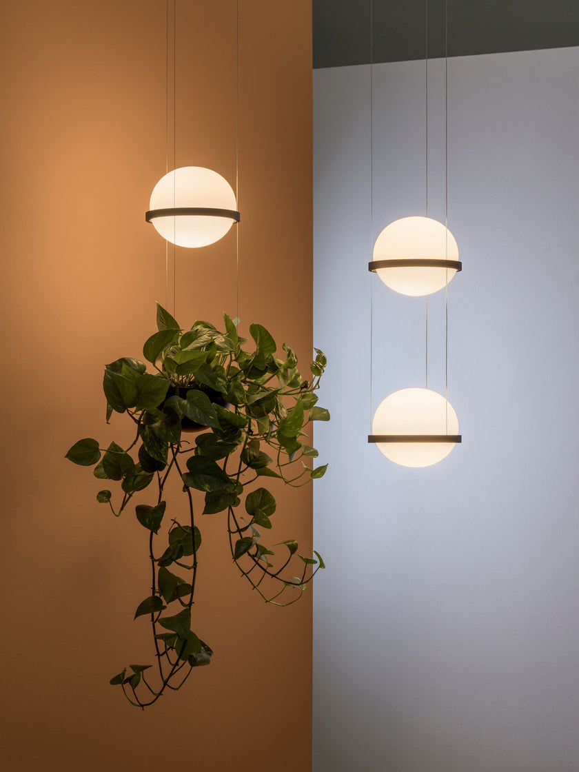 Palma Pendant Light