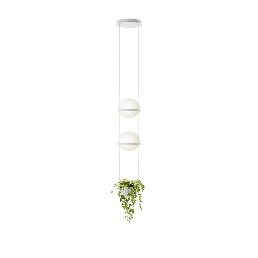 Palma Pendant Light