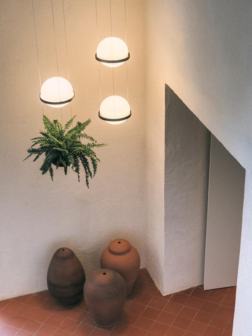 Palma Pendant Light