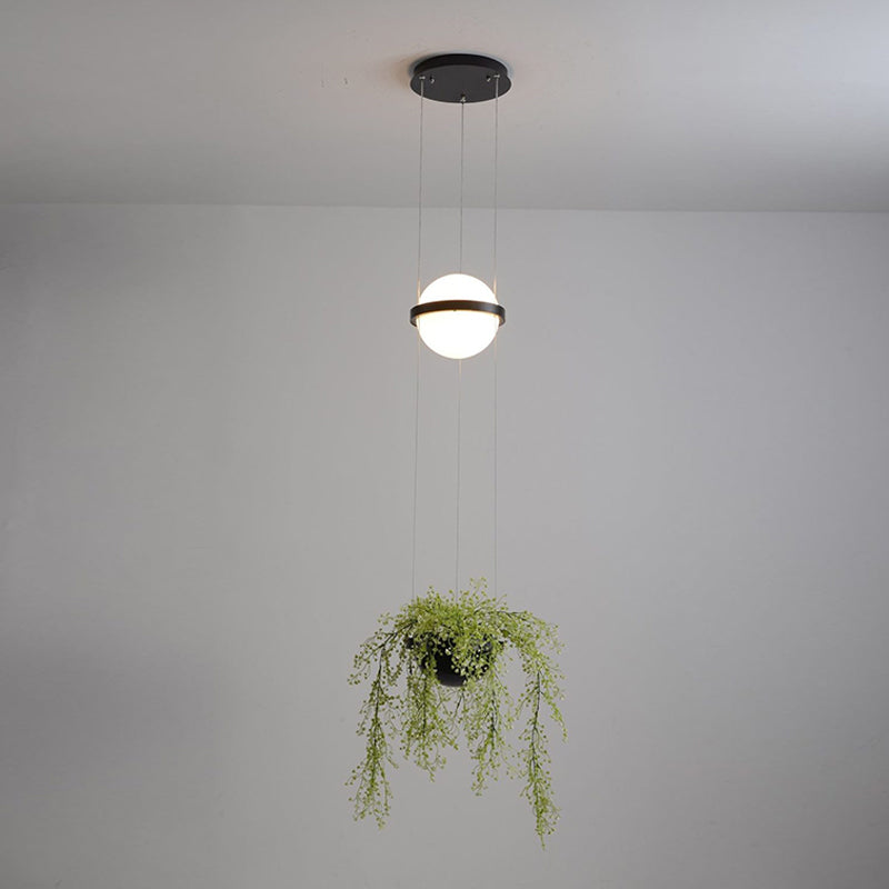 Palma Pendant Light