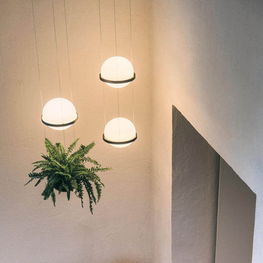 Palma Pendant Light