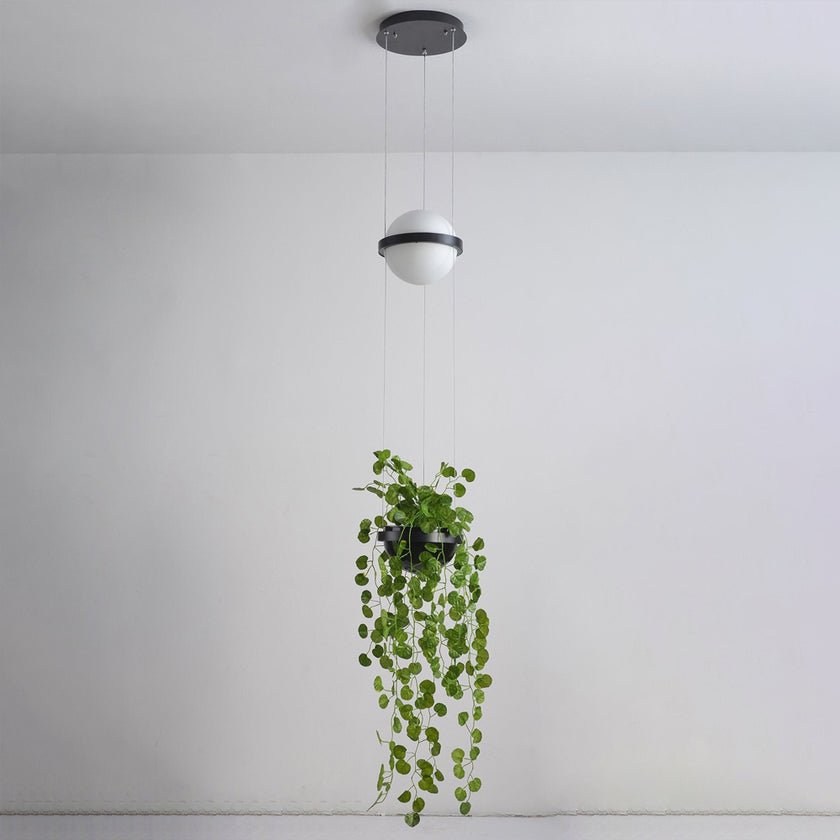 Palma Pendant Light