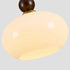 Petruf Pendant Lamp