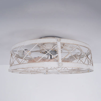 Platinum Remote Control Ceiling Fan Light