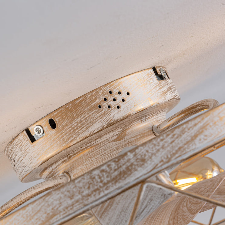 Platinum Remote Control Ceiling Fan Light