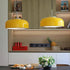 Podgy Pendant Light