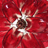 Poliedri Chandelier