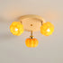 Pumpkin Ceiling Lamp