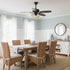 Rishika Ceiling Fan Light