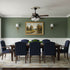 Rishika Ceiling Fan Light