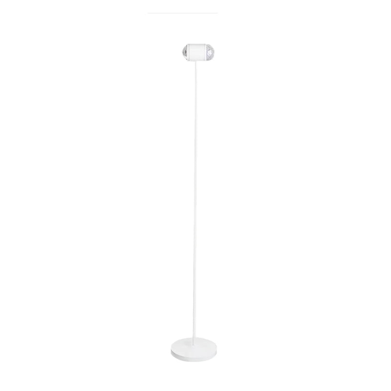 Romantic Ambient Floor Lamp