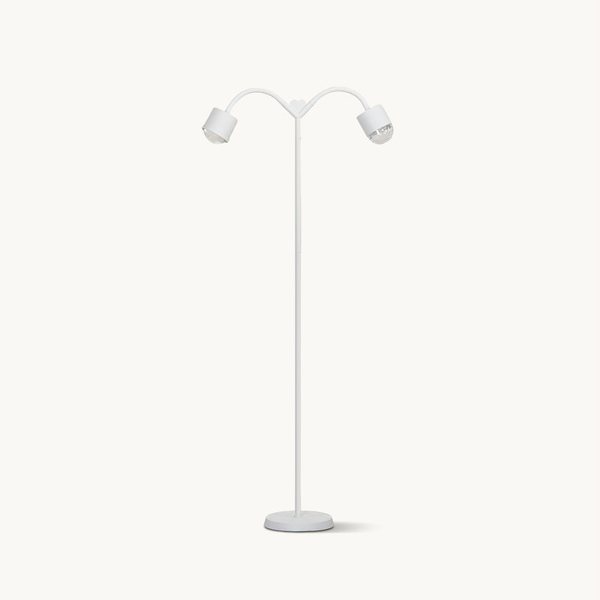 Romantic Ambient Floor Lamp