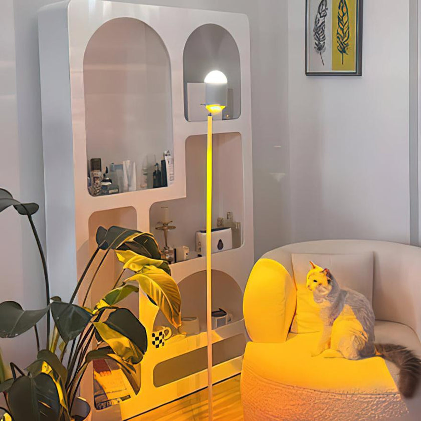 Romantic Ambient Floor Lamp