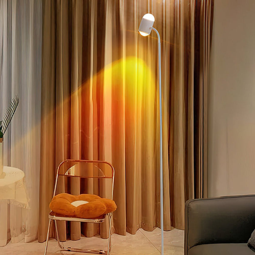 Romantic Ambient Floor Lamp