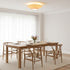 Siam Ceiling Light