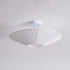 Siam Ceiling Light