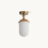 Solklint Ceiling Light