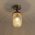 Solklint Ceiling Light