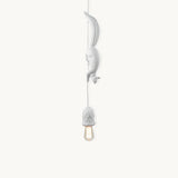 Lampada a sospensione Squirrel