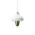 Swan Pendant Lamp