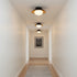 Tallis Ceiling Lamp