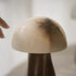 Terra Mushroom Table Lamp