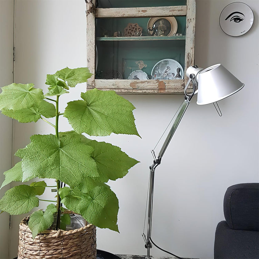 Buli Table Lamp