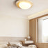 Tonia Ceiling Light