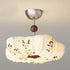Torin Ceiling Light