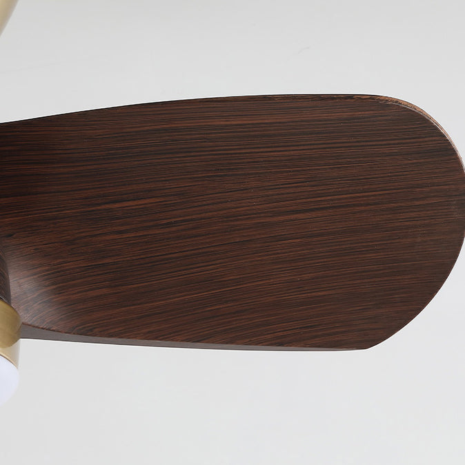 Troyes Ceiling Fan Light