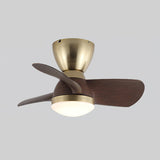 Gold & Walnut color