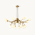 Valery Chandelier