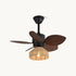 Vayana Ceiling Fan Light