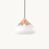 Water Drop Glass Pendant Light