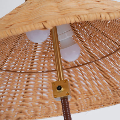 Chinese Hat Floor Lamp