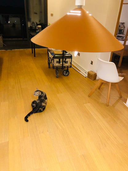 Agnes Retro Pendant Light