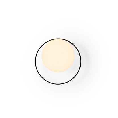 Circ 3722 Wall Lamp